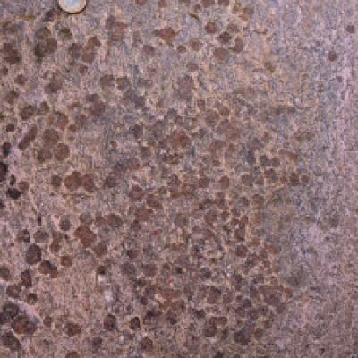 Grenats sur bande claire (méta-aplite) des granites permiens